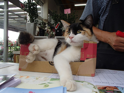 6resize0077.jpg