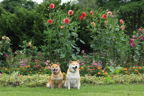 6resize0083.jpg