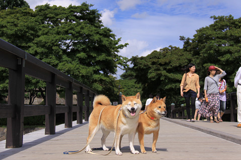 6resize0278.jpg