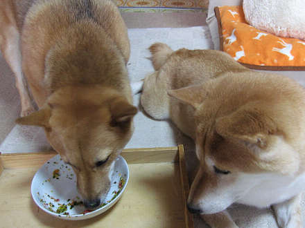 6resize0319.jpg
