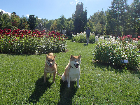 6resize0402.jpg