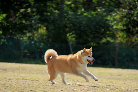 6resize0439.jpg