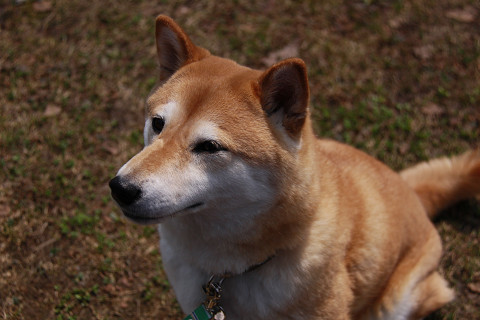 6resize0609.jpg