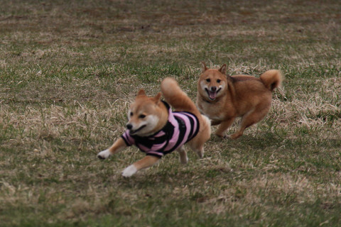 6resize0646.jpg