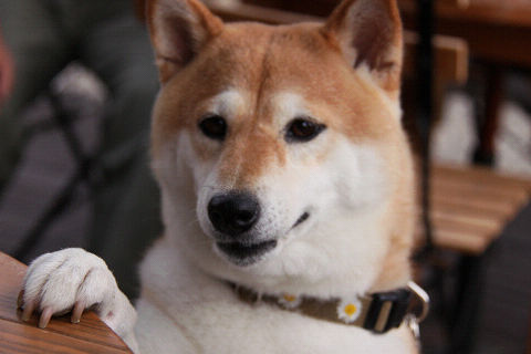 6resize2109.jpg