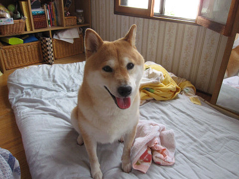 6resize2139.jpg