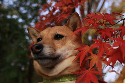 6resize2446.jpg
