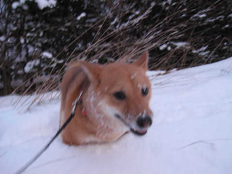 6resize2517.jpg