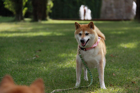 6resize3486.jpg