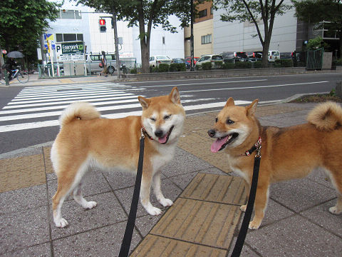 6resize3537.jpg