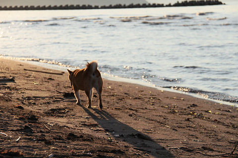 6resize3709.jpg