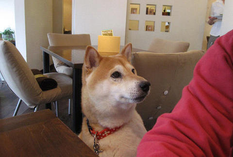 6resize5175.jpg