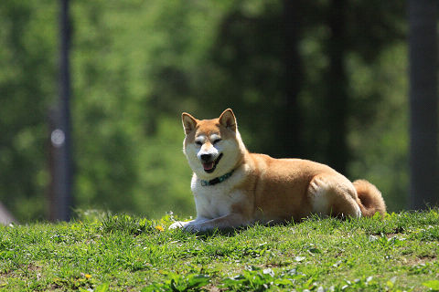 6resize5243.jpg