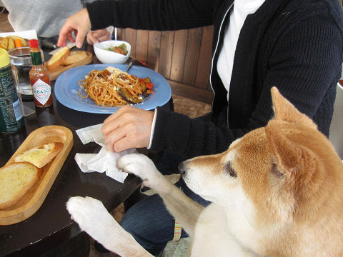 6resize6450.jpg