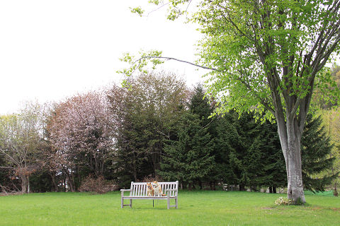 6resize7207.jpg
