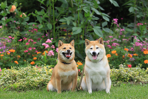 7resize0082.jpg