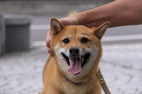 7resize0156.jpg