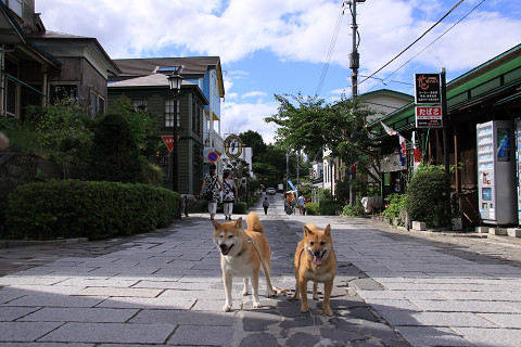 7resize0201.jpg