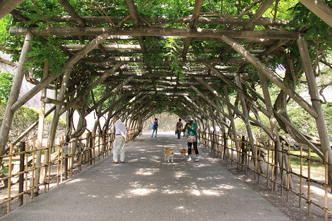 7resize0279.jpg