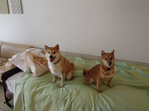 7resize0304.jpg