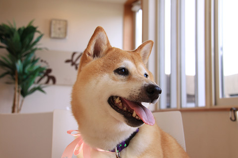 7resize0374.jpg