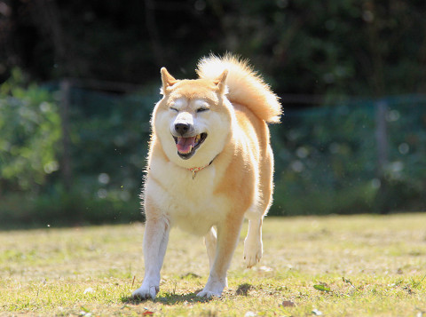 7resize0440.jpg
