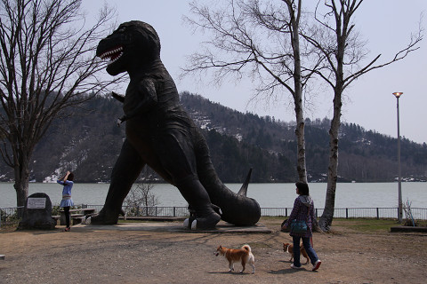 7resize0611.jpg