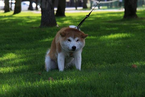 7resize2231.jpg