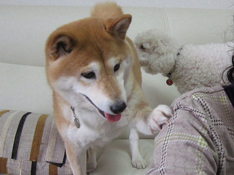 7resize4878.jpg