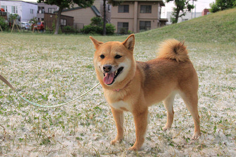 7resize5461.jpg