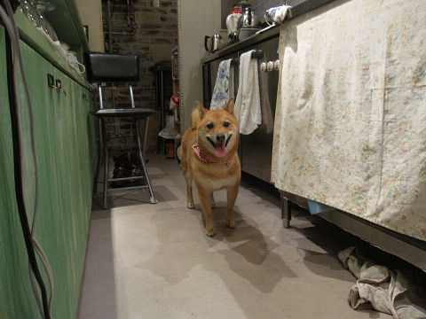7resize6339.jpg
