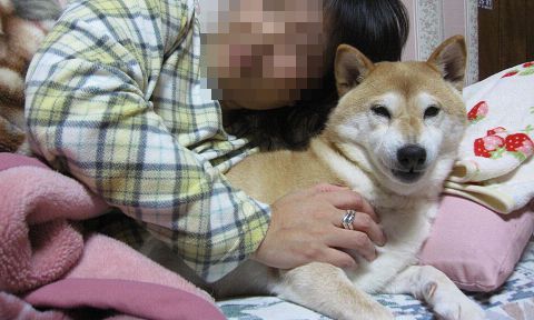 7resize6586.jpg