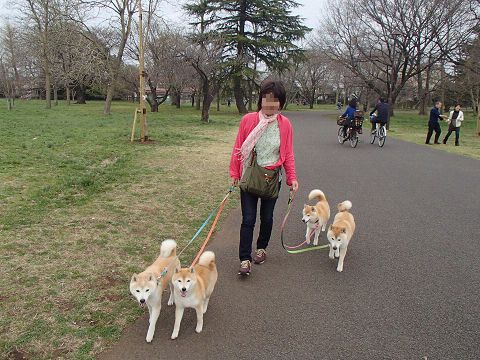 7resize6834.jpg