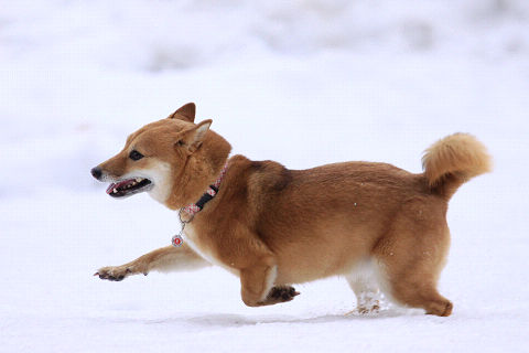 7resize6930.jpg