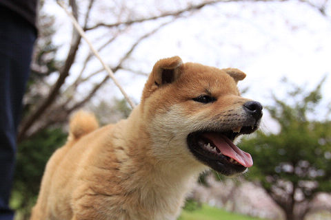 7resize7139.jpg