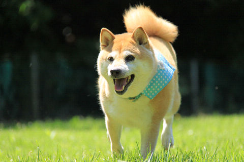 7resize7441.jpg