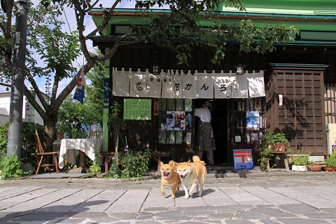 8resize0200.jpg