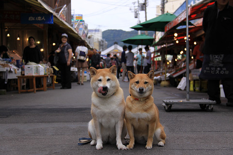 8resize0264.jpg