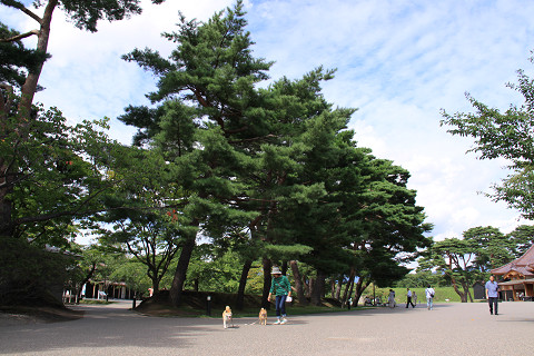 8resize0280.jpg