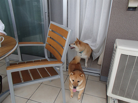 8resize0309.jpg