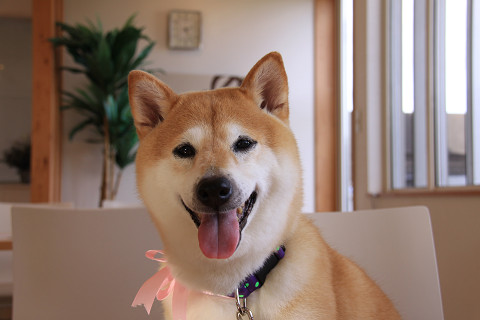 8resize0375.jpg