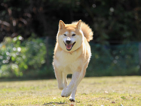 8resize0441.jpg