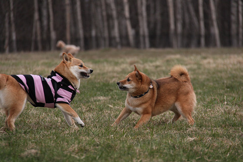 8resize0648.jpg