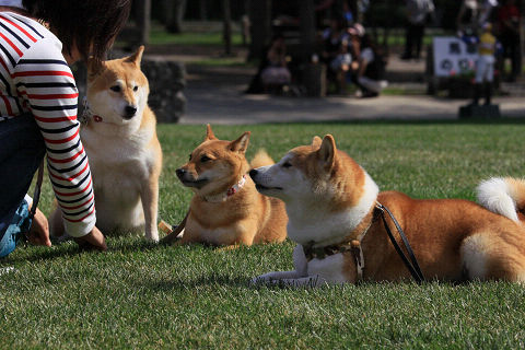 8resize2263.jpg