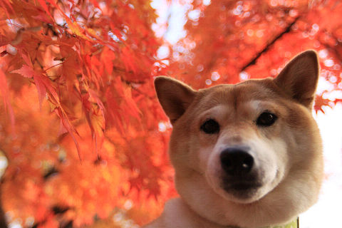 8resize2448.jpg
