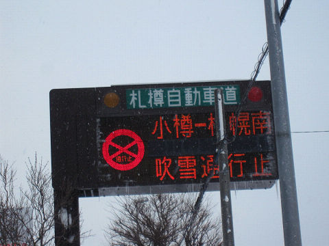 8resize2611.jpg