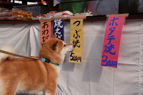 8resize3394.jpg