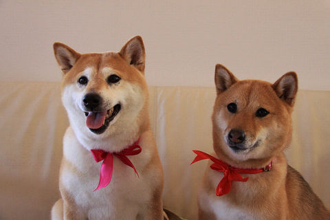 8resize5265.jpg