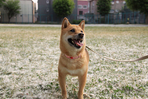 8resize5465.jpg