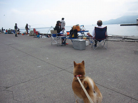 8resize5594.jpg
